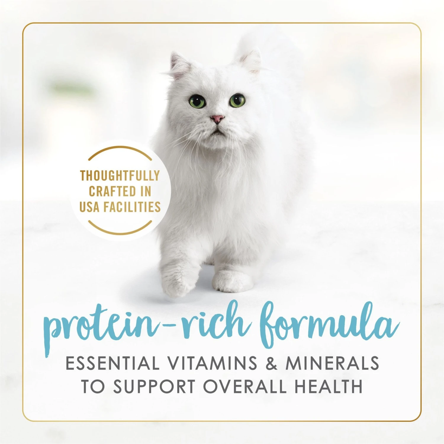 Tiny Tiger Chunks In EXTRA Gravy Salmon & Whitefish Recipe Grain-Free Canned Cat Food & Fancy Feast Gravy Lovers Salmon & Sole Feast In Seared Salmon Flavor Gravy Gourmet Wet Cat Food 11 Tiny Tiger Chunks In EXTRA Gravy Salmon & Whitefish Recipe Grain-Free Canned Cat Food & Fancy Feast Gravy Lovers Salmon & Sole Feast In Seared Salmon Flavor Gravy Gourmet Wet Cat Food - Image 9