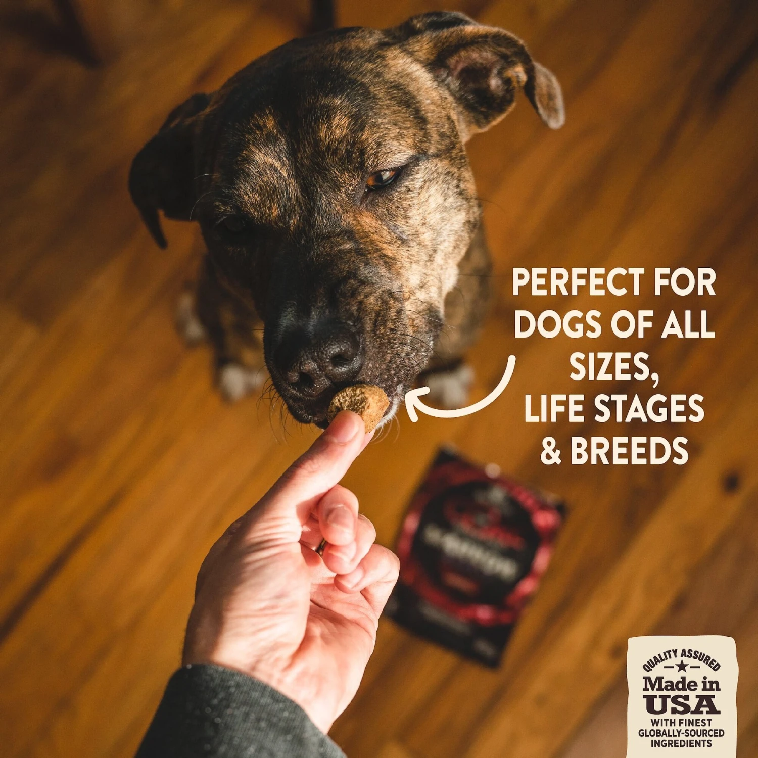 Wellness CORE Grain-Free Small Breed Turkey & Chicken Recipe Dry Dog Food & Wellness CORE Healthy Joints Beef Grain-Free Crunchy Dog Treats 9 Wellness CORE Grain-Free Small Breed Turkey & Chicken Recipe Dry Dog Food & Wellness CORE Healthy Joints Beef Grain-Free Crunchy Dog Treats - Image 7