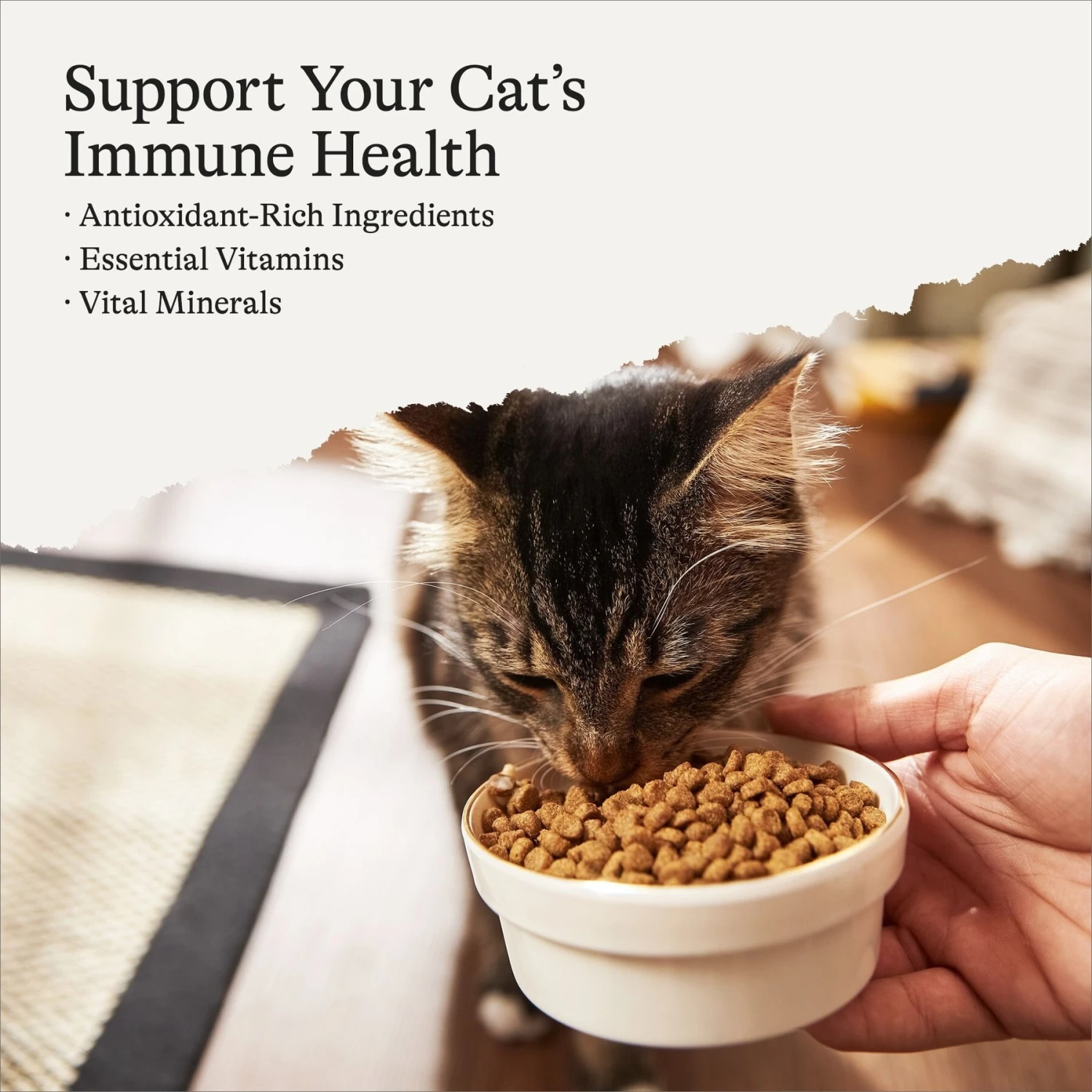 American Journey Indoor Cat Total Health Formula Chicken & Brown Rice Recipe Dry Cat Food, 15lb Bag 4 American Journey Indoor Cat Total Health Formula Chicken & Brown Rice Recipe Dry Cat Food, 15lb Bag - Image 2