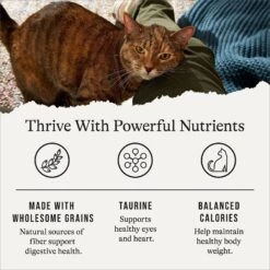 American Journey Indoor Cat Total Health Formula Chicken & Brown Rice Recipe Dry Cat Food, 15lb Bag 15 American Journey Indoor Cat Total Health Formula Chicken & Brown Rice Recipe Dry Cat Food, 15lb Bag -Blue Buffalo Shop 299537 PT4. AC SS1800 V1668737352