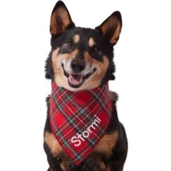 Frisco Tartan Plaid Embroidered Personalized Dog & Cat Bandana 15 Frisco Tartan Plaid Embroidered Personalized Dog & Cat Bandana -Blue Buffalo Shop 301157 PT6. AC SS1800 V1628536009