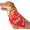 Frisco Official Cookie Tester Personalized Dog & Cat Bandana 2 Frisco Official Cookie Tester Personalized Dog & Cat Bandana -Blue Buffalo Shop 301353 MAIN. AC SS1800 V1632923476