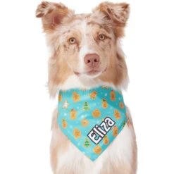 Frisco Gingerbread Cookie Personalized Dog & Cat Bandana -Blue Buffalo Shop 301361 PT6. AC SS1800 V1628100109