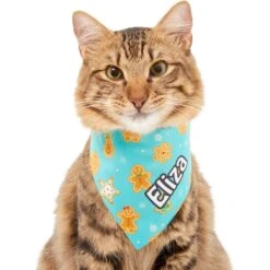 Frisco Gingerbread Cookie Personalized Dog & Cat Bandana -Blue Buffalo Shop 301361 PT7. AC SS1800 V1628100087