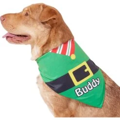 Frisco Santa's Favorite Elf Personalized Dog & Cat Bandana 16 Frisco Santa's Favorite Elf Personalized Dog & Cat Bandana -Blue Buffalo Shop 301369 PT6. AC SS1800 V1628100146
