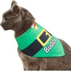 Frisco Santa's Favorite Elf Personalized Dog & Cat Bandana 17 Frisco Santa's Favorite Elf Personalized Dog & Cat Bandana -Blue Buffalo Shop 301369 PT7. AC SS1800 V1628100114