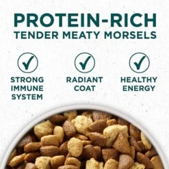 Purina ONE +Plus Natural Large Breed Formula Dry Puppy Food & Wellness Soft Puppy Bites Lamb & Salmon Recipe Grain-Free Natural Dog Treats -Blue Buffalo Shop 302060 PT3. AC SS1800 V1622832139