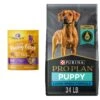 Purina Pro Plan High Protein Chicken & Rice Formula Large Breed Dry Puppy Food & Wellness Soft Puppy Bites Lamb & Salmon Recipe Grain-Free Natural Dog Treats -Blue Buffalo Shop 302104 MAIN. AC SS1800 V1657656680