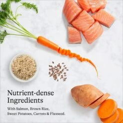 American Journey Protein & Grains Senior Salmon, Brown Rice & Vegetables Recipe Dry Dog Food, 28-lb Bag & American Journey Poultry & Beef Variety Pack Grain-Free Canned Dog Food -Blue Buffalo Shop 302238 PT8. AC SS1800 V1694617595