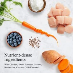 American Journey Senior Chicken & Sweet Potato Recipe Grain-Free Dry Dog Food & American Journey Poultry & Beef Variety Pack Grain-Free Canned Dog Food -Blue Buffalo Shop 302326 PT8. AC SS1800 V1694613386