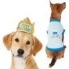 Frisco Happy Birthday Dog & Cat Crown & Frisco It's My Birthday & Cat T-Shirt -Blue Buffalo Shop 302470 MAIN. AC SS1800 V1623076950