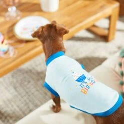 Frisco Happy Birthday Dog & Cat Crown & Frisco It's My Birthday & Cat T-Shirt 18 Frisco Happy Birthday Dog & Cat Crown & Frisco It's My Birthday & Cat T-Shirt -Blue Buffalo Shop 302470 PT7. AC SS1800 V1623037657