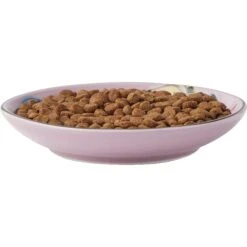 Frisco Paris Non-skid Ceramic Cat Dish & Frisco Paris Non-skid Ceramic Cat Dish 13 Frisco Paris Non-skid Ceramic Cat Dish & Frisco Paris Non-skid Ceramic Cat Dish -Blue Buffalo Shop 302490 PT2. AC SS1800 V1623058041