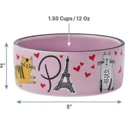 Frisco Paris Non-skid Ceramic Cat Dish & Frisco Paris Non-skid Ceramic Cat Dish 18 Frisco Paris Non-skid Ceramic Cat Dish & Frisco Paris Non-skid Ceramic Cat Dish -Blue Buffalo Shop 302490 PT7. AC SS1800 V1623054762