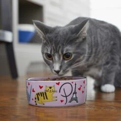 Frisco Paris Non-skid Ceramic Cat Dish & Frisco Paris Non-skid Ceramic Cat Dish 19 Frisco Paris Non-skid Ceramic Cat Dish & Frisco Paris Non-skid Ceramic Cat Dish -Blue Buffalo Shop 302490 PT8. AC SS1800 V1623043046