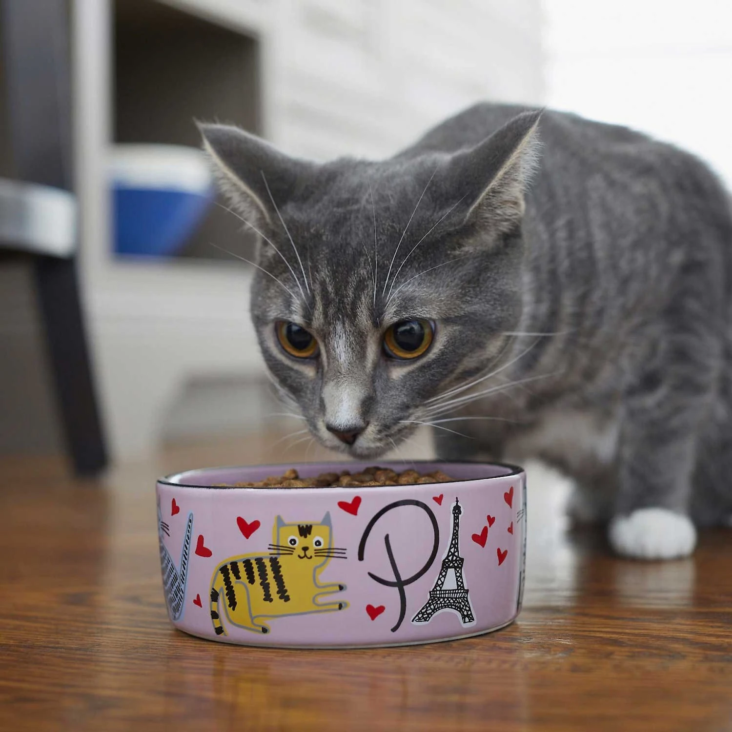 Frisco Paris Non-skid Ceramic Cat Dish & Frisco Paris Non-skid Ceramic Cat Dish 11 Frisco Paris Non-skid Ceramic Cat Dish & Frisco Paris Non-skid Ceramic Cat Dish - Image 9