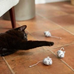 STAR WARS C-3PO Plush Kicker Cat Toy With Catnip & STAR WARS STORMTROOPER Plush Mice Cat Toy With Catnip, 3 Count -Blue Buffalo Shop 302556 PT6. AC SS1800 V1623074261