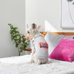 Frisco I Love Daddy Dog & Cat T-Shirt, Gray & Frisco I Love Mommy Dog & Cat T-Shirt 14 Frisco I Love Daddy Dog & Cat T-Shirt, Gray & Frisco I Love Mommy Dog & Cat T-Shirt -Blue Buffalo Shop 302760 PT3. AC SS1800 V1623034662