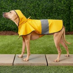 Frisco Lightweight Rainy Days Dog Raincoat & Frisco Lightweight Flamingo Dog Raincoat 15 Frisco Lightweight Rainy Days Dog Raincoat & Frisco Lightweight Flamingo Dog Raincoat -Blue Buffalo Shop 302828 PT4. AC SS1800 V1623042144