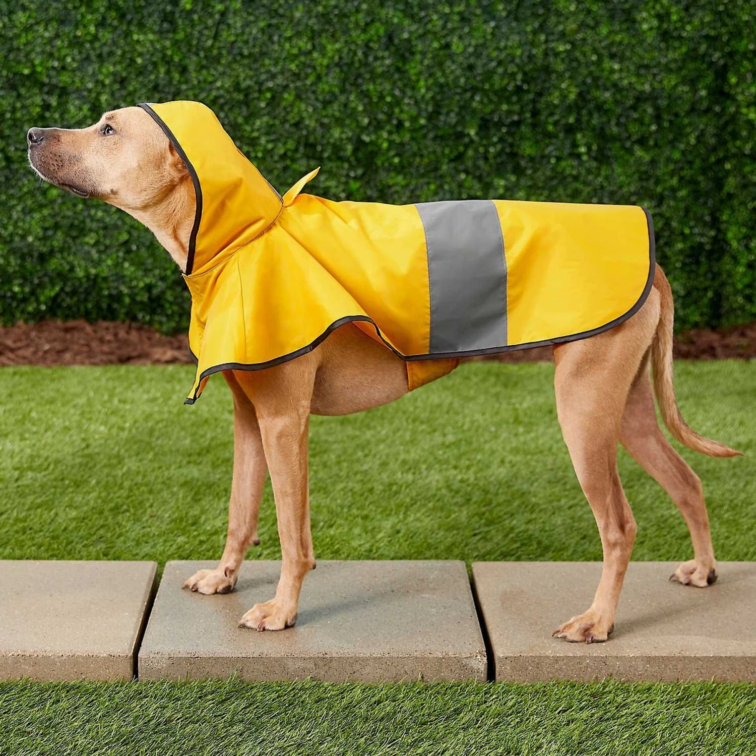 Frisco Lightweight Rainy Days Dog Raincoat & Frisco Lightweight Flamingo Dog Raincoat 7 Frisco Lightweight Rainy Days Dog Raincoat & Frisco Lightweight Flamingo Dog Raincoat - Image 5
