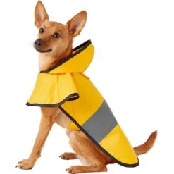 Frisco Lightweight Rainy Days Dog Raincoat & Frisco Lightweight Rubber Ducky Dog Raincoat -Blue Buffalo Shop 302842 PT1. AC SS1800 V1623051164
