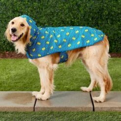 Frisco Lightweight Rainy Days Dog Raincoat & Frisco Lightweight Rubber Ducky Dog Raincoat -Blue Buffalo Shop 302842 PT7. AC SS1800 V1623040668