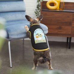 STAR WARS THE MANDALORIAN GROGU "Cutest Bounty" Reversible Dog & Cat Bandana & STAR WARS THE MANDALORIAN GROGU "Left Unsupervised" Dog & Cat T-Shirt -Blue Buffalo Shop 303014 PT6. AC SS1800 V1632370589