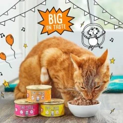 Tiny Tiger Chunks In EXTRA Gravy Beef & Poultry Recipes Variety Pack Grain-Free Canned Cat Food & Tiny Tiger Crunchy Bunch, Chicken Cannonball, Chicken Flavor Cat Treats -Blue Buffalo Shop 303740 PT3. AC SS1800 V1623081762