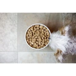 Ketogenic Pet Food Chicken Dry Dog & Cat Food, 18.5-oz Canister -Blue Buffalo Shop 307667 PT1. AC SS1800 V1623707002