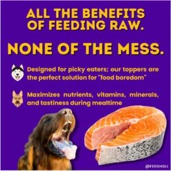 HOLI Wild Caught Salmon Protein Pack Grain-Free Freeze-Dried Dog Food Topper -Blue Buffalo Shop 308507 PT3. AC SS1800 V1693947500