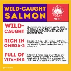 HOLI Wild Caught Salmon Protein Pack Grain-Free Freeze-Dried Dog Food Topper -Blue Buffalo Shop 308507 PT5. AC SS1800 V1693947966