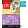 ORIJEN Free Run Chicken & Turkey, & Wild Caught Salmon & Herring Grain-Free Dry Kitten Food, 4-lb Bag 1 ORIJEN Free Run Chicken & Turkey, & Wild Caught Salmon & Herring Grain-Free Dry Kitten Food, 4-lb Bag -Blue Buffalo Shop 311075 MAIN. AC SS1800 V1689606928