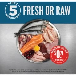 ORIJEN Guardian 8 Free Run Chicken, Wild Caught Salmon & Rabbit Adult Grain-Free Dry Cat Food 14 ORIJEN Guardian 8 Free Run Chicken, Wild Caught Salmon & Rabbit Adult Grain-Free Dry Cat Food -Blue Buffalo Shop 311078 PT3. AC SS1800 V1689693080