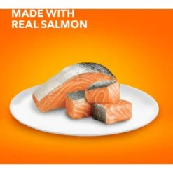 Iams ProActive Health Adult Indoor Weight & Hairball Care With Salmon Dry Cat Food -Blue Buffalo Shop 311438 PT3. AC SS1800 V1677256424