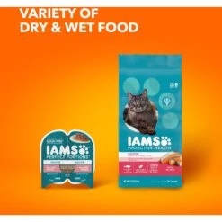 Iams ProActive Health Adult Indoor Weight & Hairball Care With Salmon Dry Cat Food -Blue Buffalo Shop 311438 PT8. AC SS1800 V1677256392