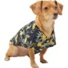 Disney Lion King's Simba Jungle Dog & Cat Shirt 1 Disney Lion King's Simba Jungle Dog & Cat Shirt -Blue Buffalo Shop 311842 MAIN. AC SS1800 V1643328239