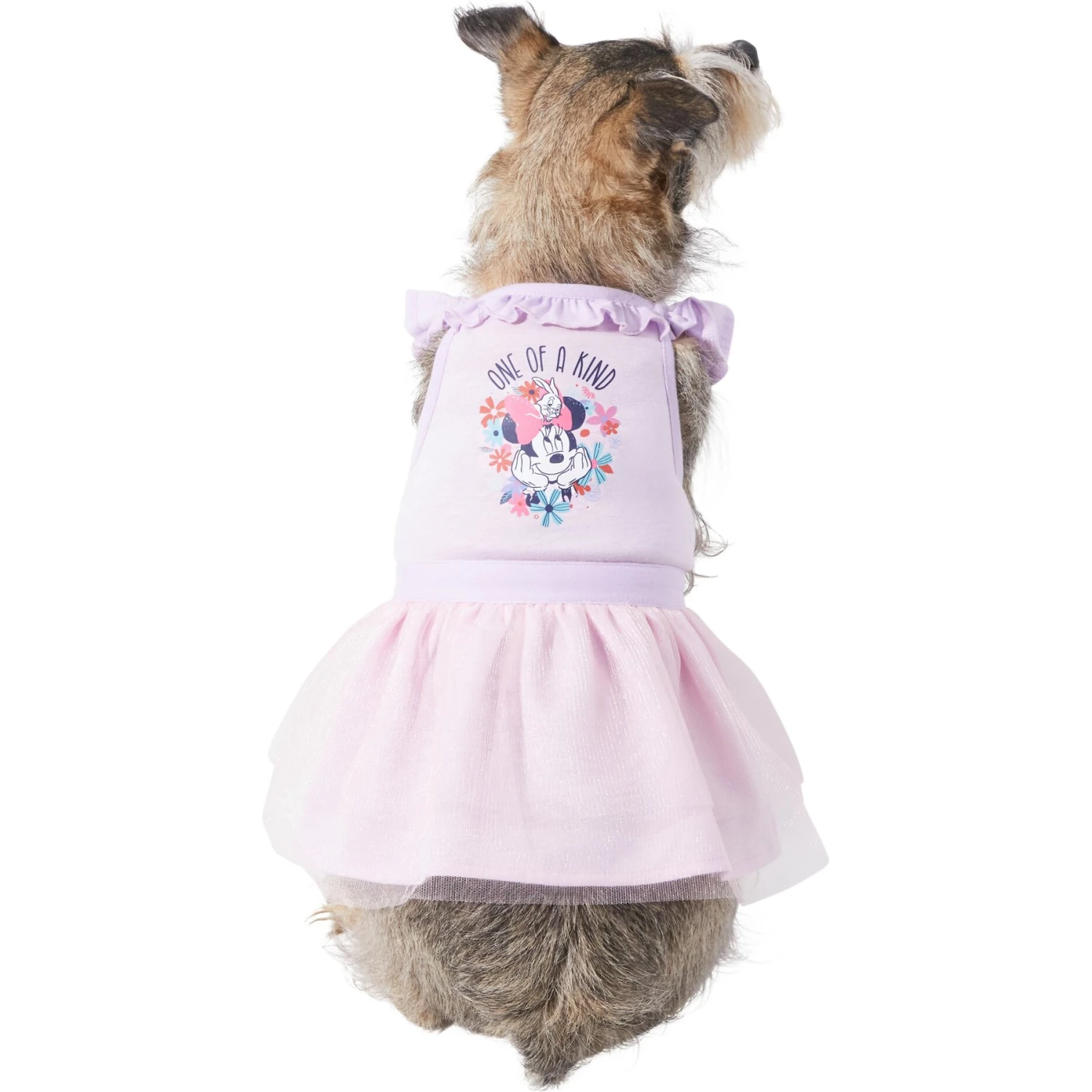Disney Minnie Mouse "One Of A Kind" Dog & Cat Dress 3 Disney Minnie Mouse "One Of A Kind" Dog & Cat Dress
