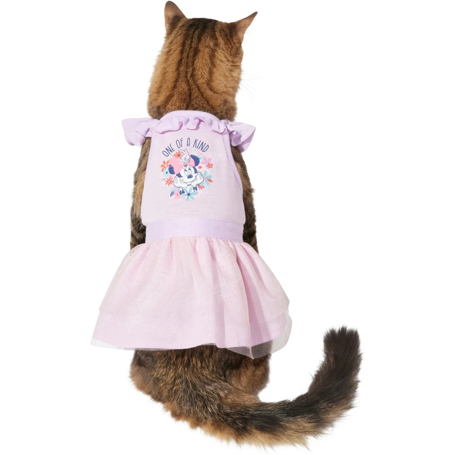 Disney Minnie Mouse "One Of A Kind" Dog & Cat Dress 5 Disney Minnie Mouse "One Of A Kind" Dog & Cat Dress - Image 3