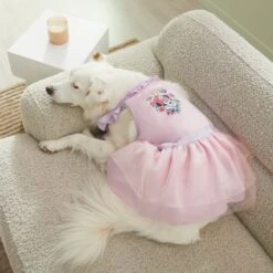 Disney Minnie Mouse "One Of A Kind" Dog & Cat Dress 13 Disney Minnie Mouse "One Of A Kind" Dog & Cat Dress -Blue Buffalo Shop 311850 PT8. AC SS1800 V1643325687