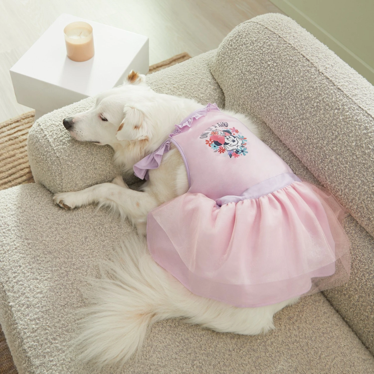 Disney Minnie Mouse "One Of A Kind" Dog & Cat Dress 8 Disney Minnie Mouse "One Of A Kind" Dog & Cat Dress - Image 6