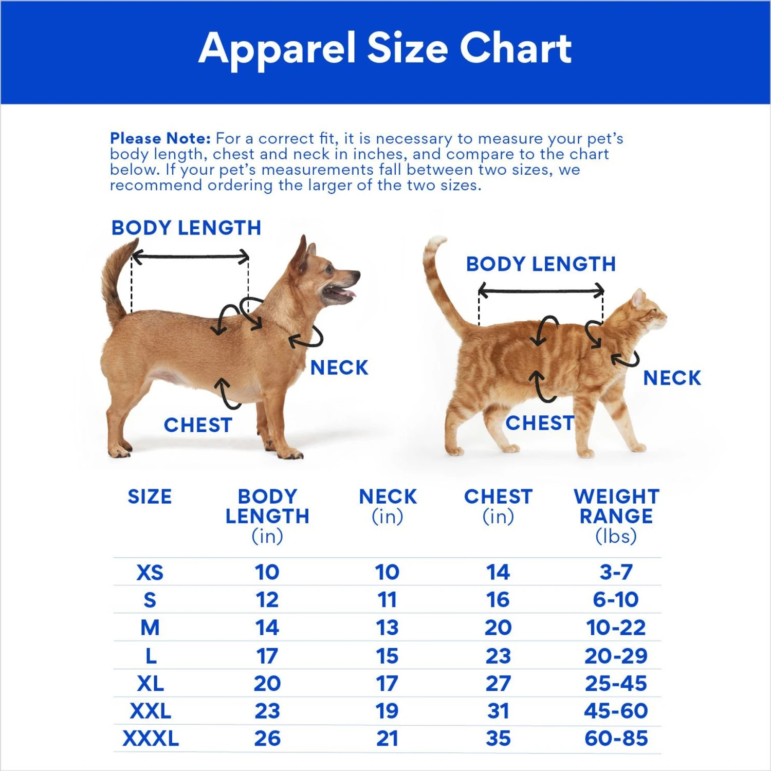 STAR WARS R2-D2 "Beep! Beep! Beep! Feed Me Treats!" Dog & Cat T-shirt 4 STAR WARS R2-D2 "Beep! Beep! Beep! Feed Me Treats!" Dog & Cat T-shirt - Image 2