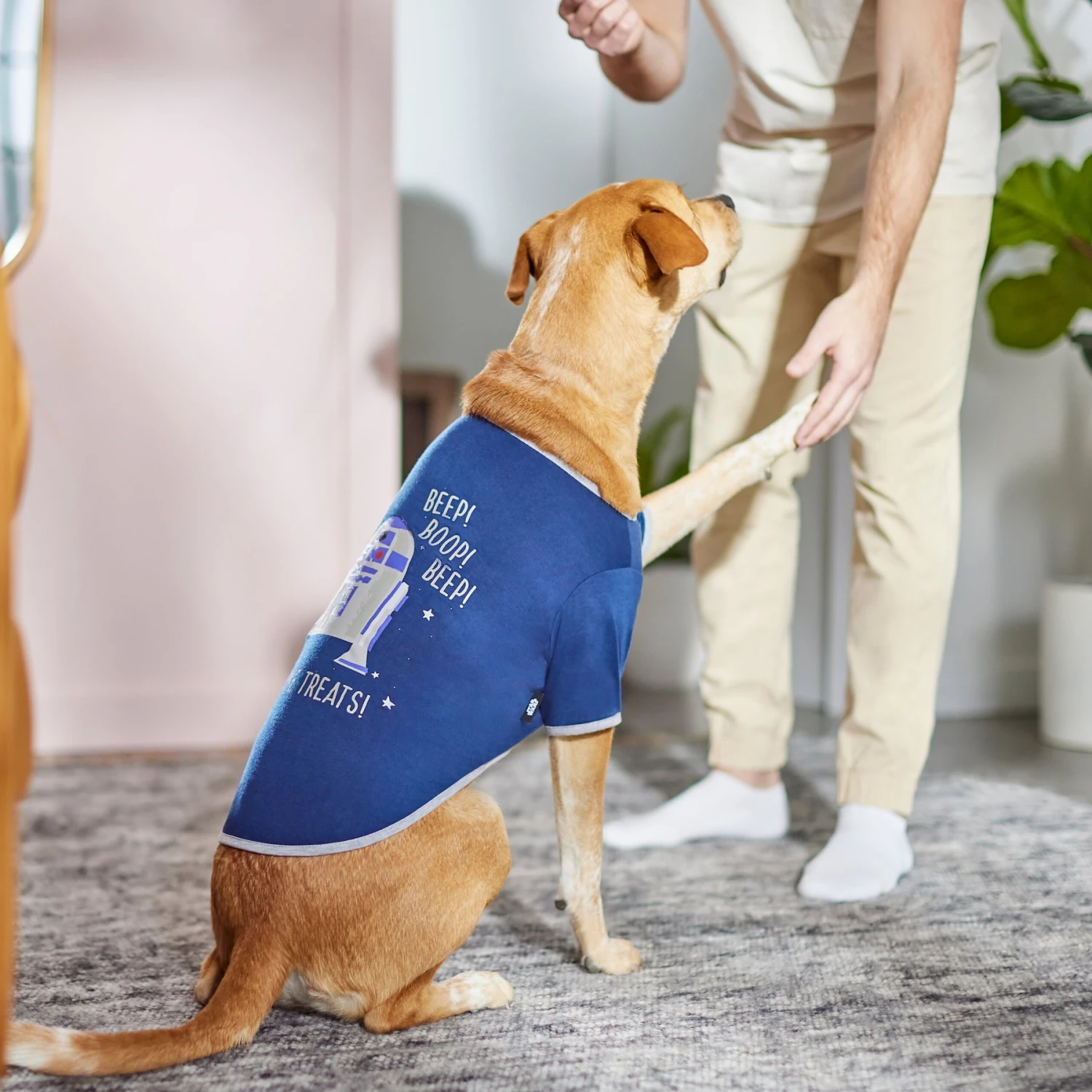 STAR WARS R2-D2 "Beep! Beep! Beep! Feed Me Treats!" Dog & Cat T-shirt 8 STAR WARS R2-D2 "Beep! Beep! Beep! Feed Me Treats!" Dog & Cat T-shirt - Image 6