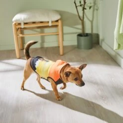 STAR WARS THE MANDALORIAN & GROGU Colorblock Dog & Cat Hoodie -Blue Buffalo Shop 311892 PT8. AC SS1800 V1643325712