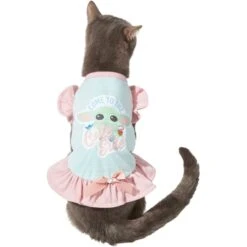 STAR WARS THE MANDALORIAN GROGU "Cute Side" Dog & Cat Dress 10 STAR WARS THE MANDALORIAN GROGU "Cute Side" Dog & Cat Dress -Blue Buffalo Shop 311901 PT2. AC SS1800 V1643322460