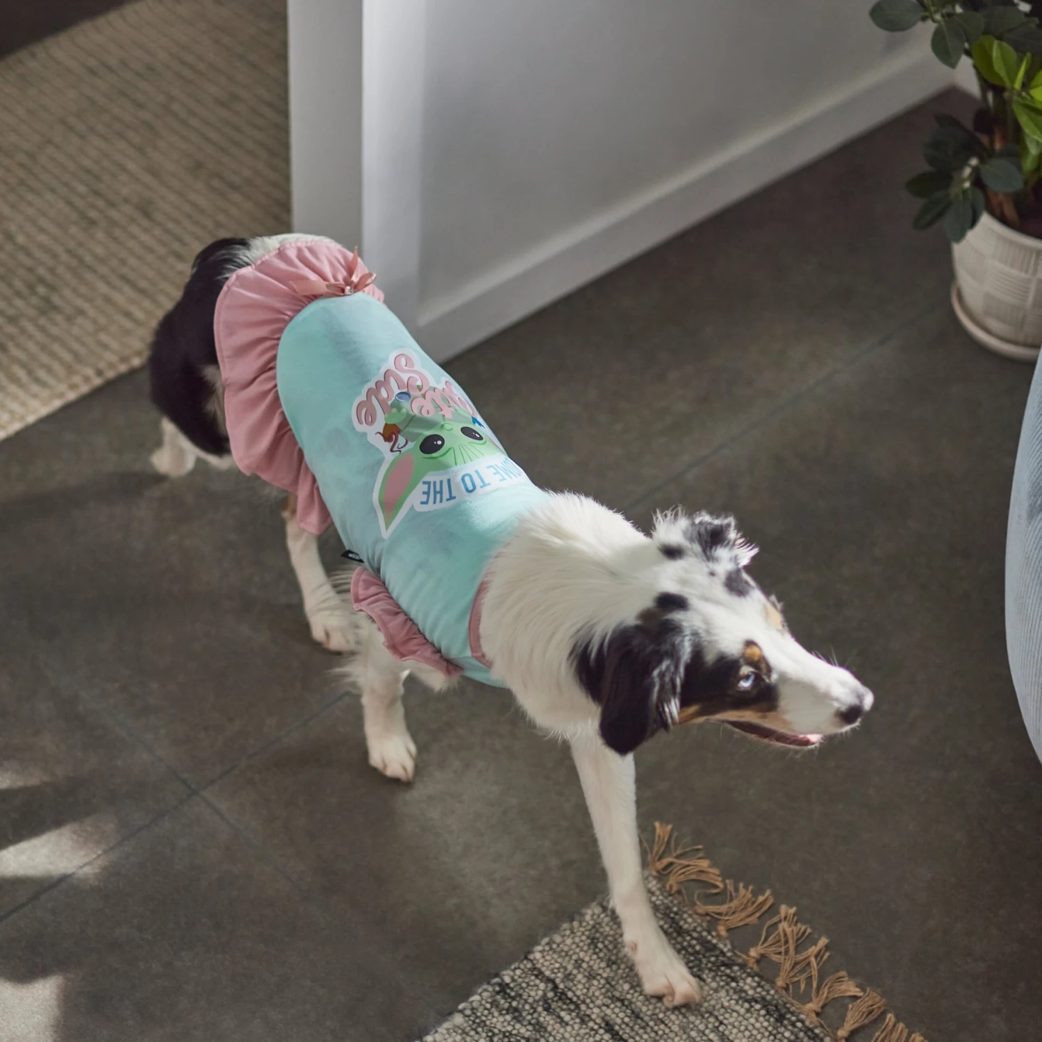 STAR WARS THE MANDALORIAN GROGU "Cute Side" Dog & Cat Dress 8 STAR WARS THE MANDALORIAN GROGU "Cute Side" Dog & Cat Dress - Image 6