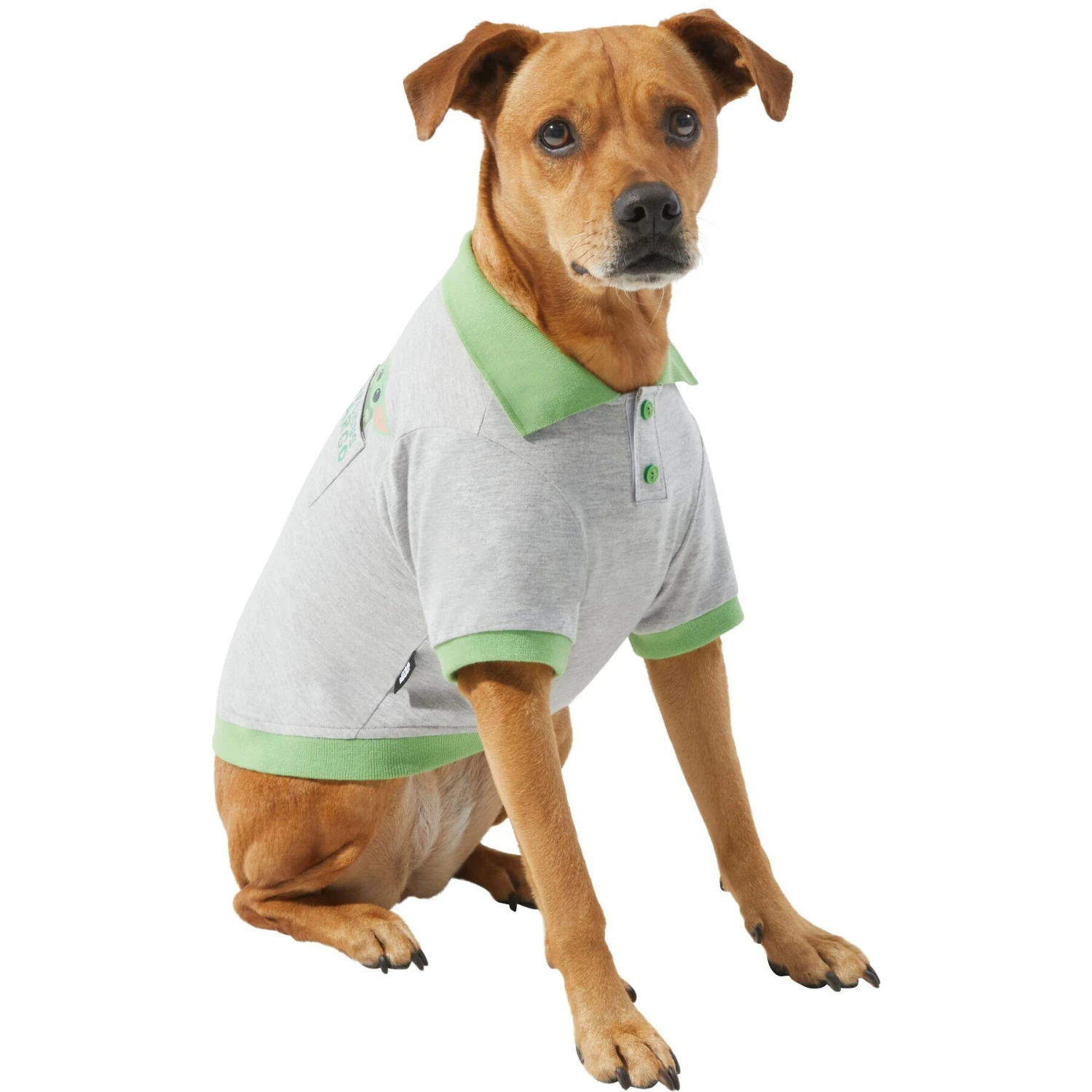 STAR WARS THE MANDALORIAN GROGU "Precious Cargo" Dog & Cat Polo 3 STAR WARS THE MANDALORIAN GROGU "Precious Cargo" Dog & Cat Polo