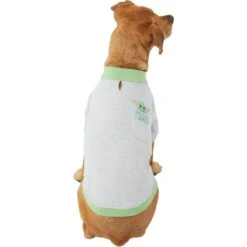 STAR WARS THE MANDALORIAN GROGU "Precious Cargo" Dog & Cat Polo 13 STAR WARS THE MANDALORIAN GROGU "Precious Cargo" Dog & Cat Polo -Blue Buffalo Shop 311917 PT3. AC SS1800 V1643327786