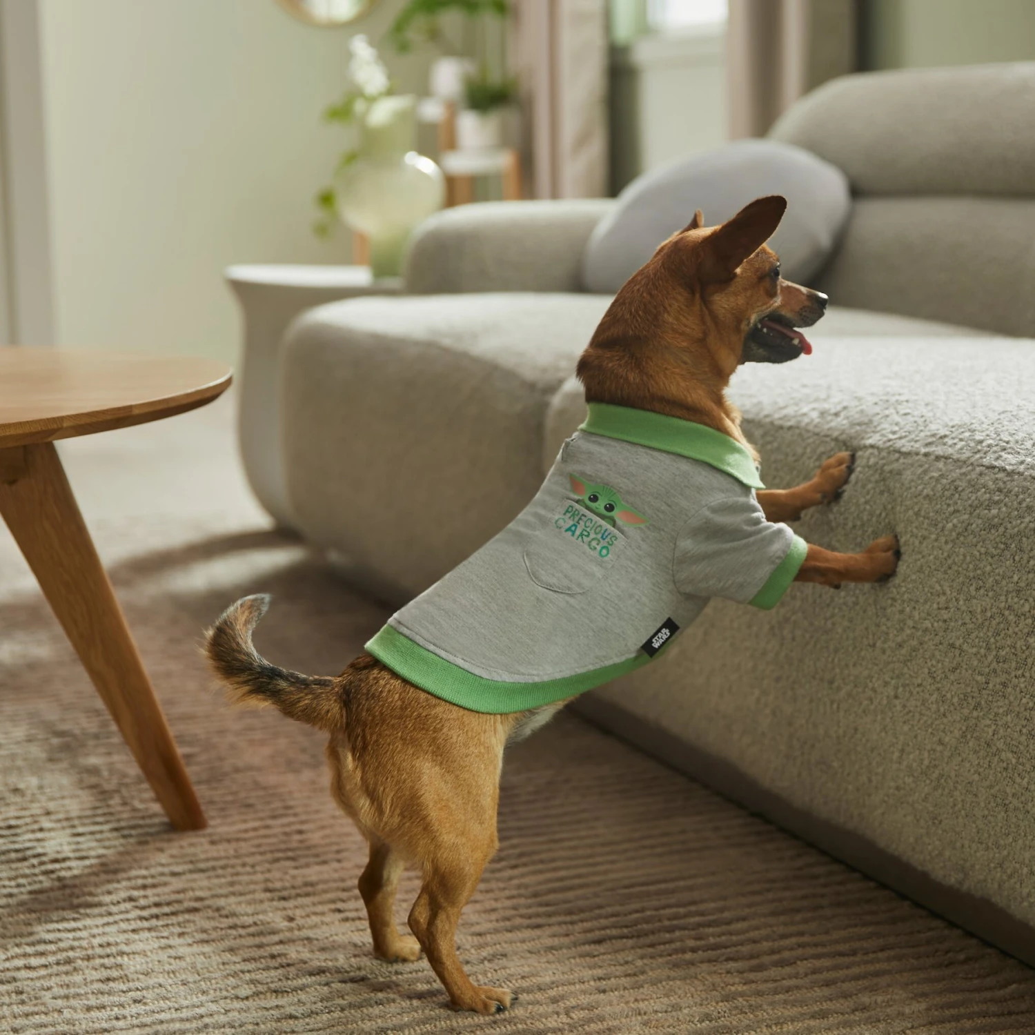 STAR WARS THE MANDALORIAN GROGU "Precious Cargo" Dog & Cat Polo 10 STAR WARS THE MANDALORIAN GROGU "Precious Cargo" Dog & Cat Polo - Image 8