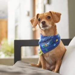 Pixar Monster's Inc "Monsters Make The Best Friends" Dog & Cat Bandana -Blue Buffalo Shop 311940 PT8. AC SS1800 V1643330938