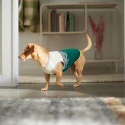 Frisco Tropical Palm Dog & Cat T-Shirt -Blue Buffalo Shop 312072 PT8. AC SS1800 V1644425897